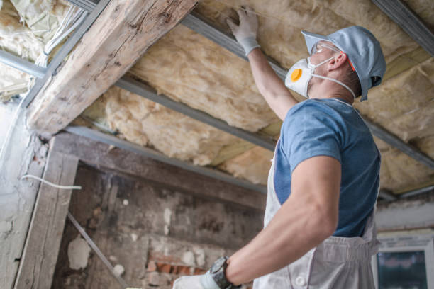 Trusted Robbins, IL Insulation Contractor Experts