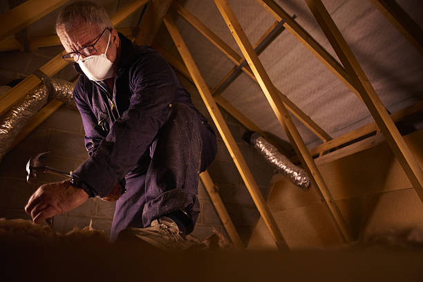 Best Residential Insulation in Robbins, IL